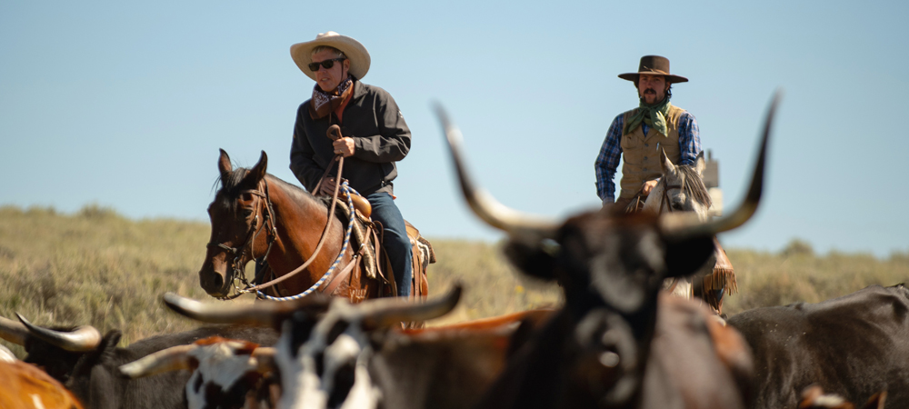 Vast-Creative_Hospitality-Branding-Agency_The-Summit-at-Brush-Creek-Ranch_Agenda-Off-Canvas_Cattle-Drive_v2 Ranchers on a thrilling cattle drive